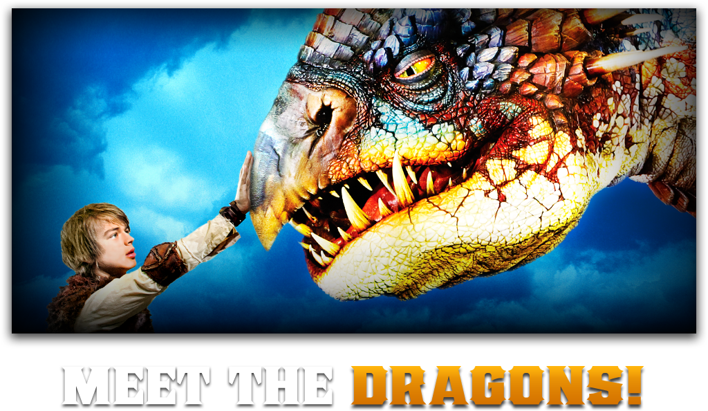 Meet The Dragons